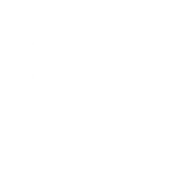 Embedded AI